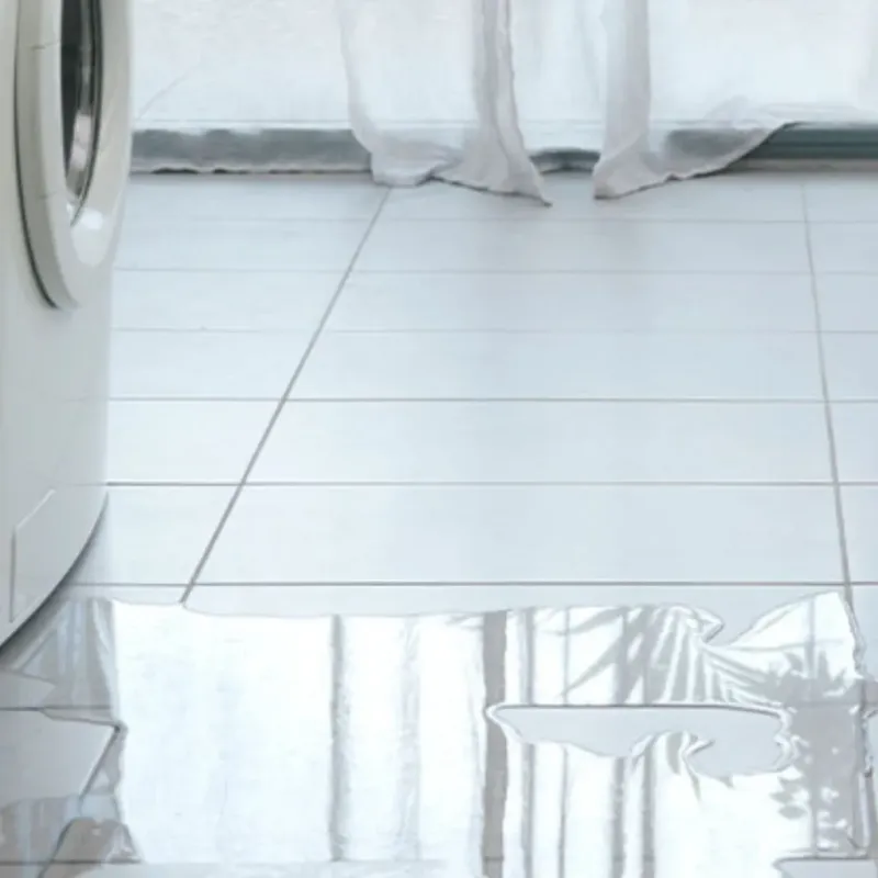 Appliance Leak Cleanup in Dayton, VA