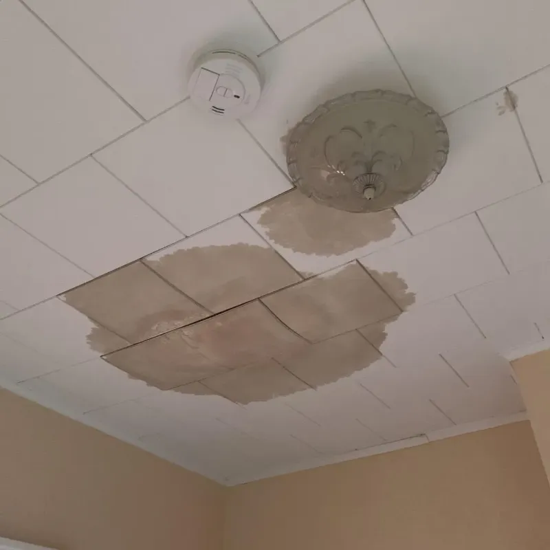 Ceiling Water Damage Repair in Dayton, VA