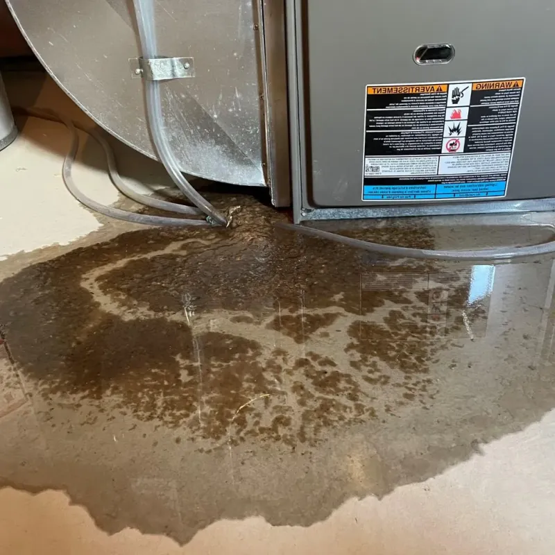 Pipe Burst and Leak Restoration in Dayton, VA