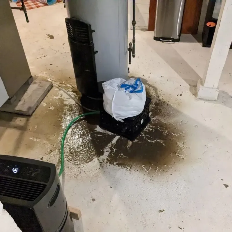 Sewage Backup Cleanup Service in Dayton, VA
